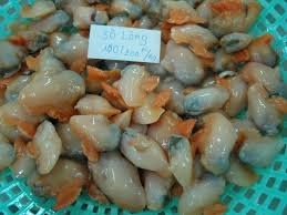 Ark Shell Meat